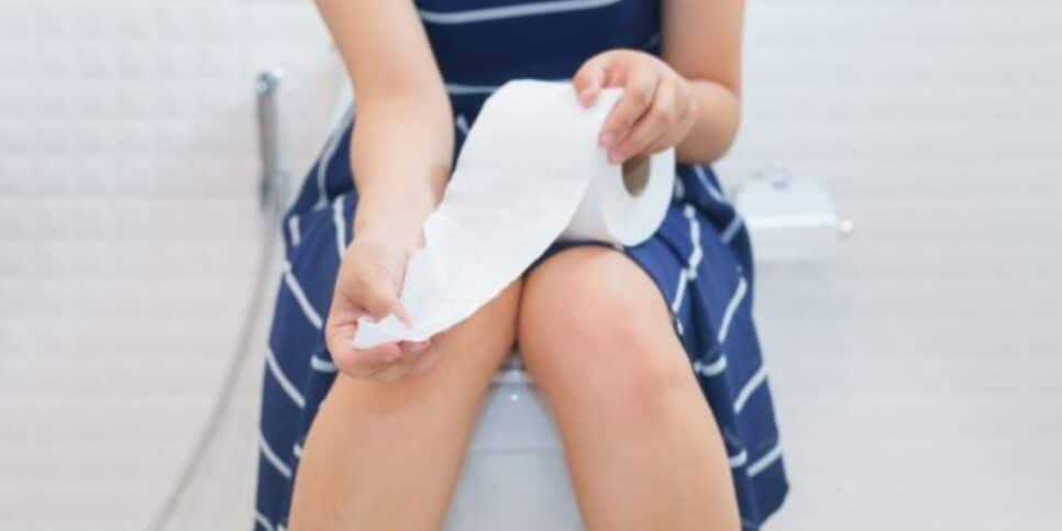 Vaso Sanitário Substituto do papel higiênico (Imagem Reprodução Internet)