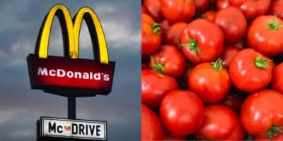 Imagem do post Inesperado: McDonald´s decide retirar tomate dos lanches; Entenda o que causou essa decisão