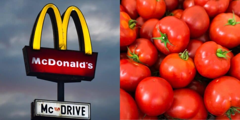 McDonald´s retira tomate de seus lanches (Imagem Reprodução Internet)