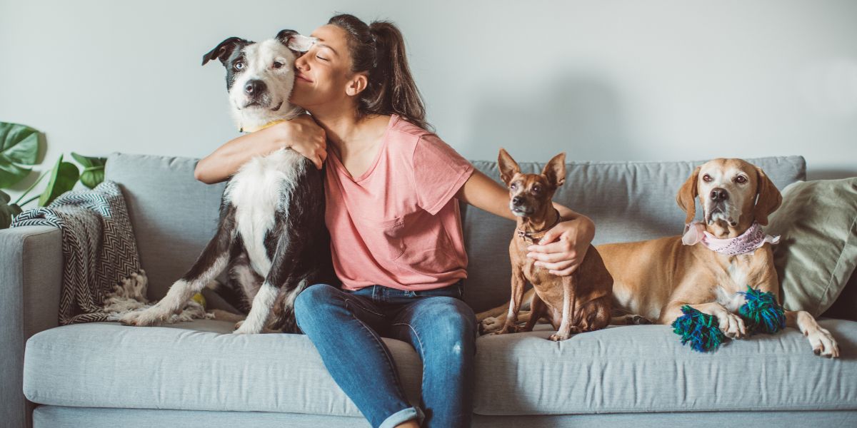 Lei obrigada donos de pet a fazerem RG para os animais (Imagem Reprodução Internet)