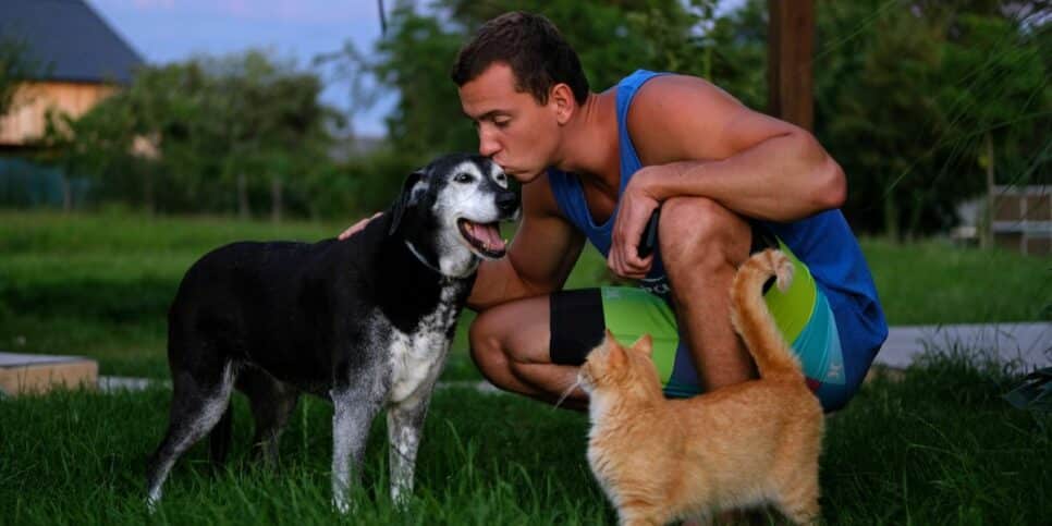 Lei obrigada donos de pet a registrarem os animais (Imagem Reprodução Internet)