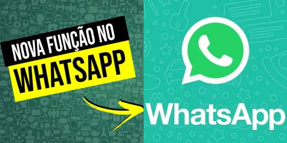 Nova função no WhatsApp (Foto: Reprodução / Internet)
