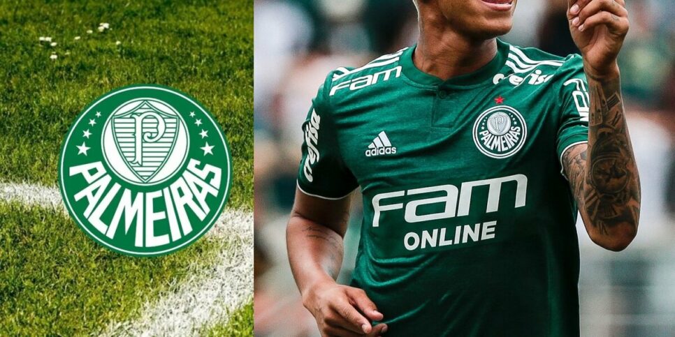 Deyverson é ex-jogador do Palmeiras (Foto: Reprodução / Internet / Montagem HoraDoBenefício)