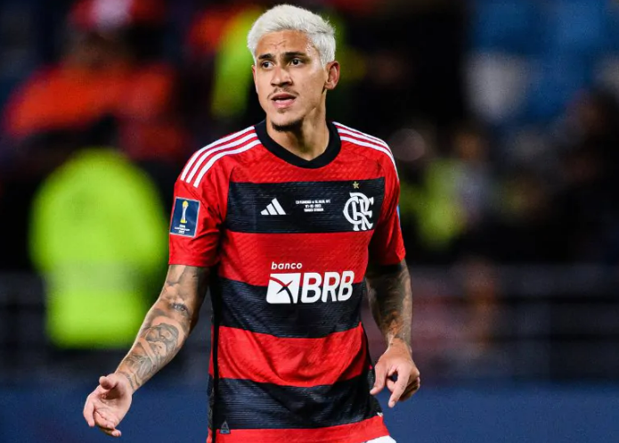 Pedro Flamengo (Reprodução/Internet)