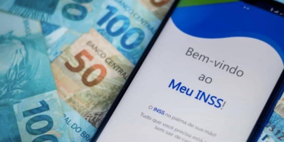 Aplicativo do INSS (Foto: Reprodução/Internet)