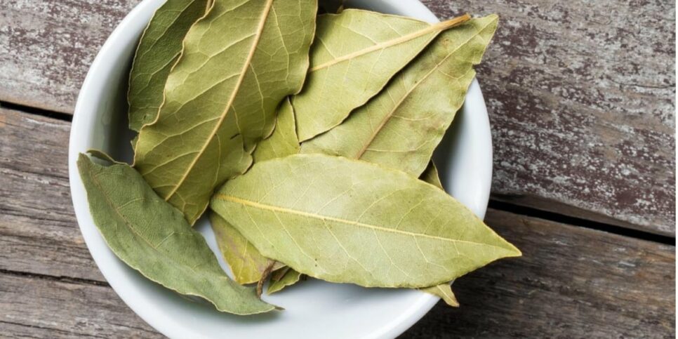 Brasileiros estão deixando o louro ao lado da cama (Imagem Reprodução Internet)