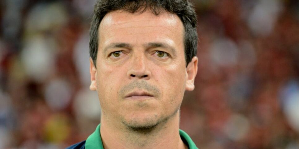 Fernando Diniz, técnico da seleção Brasileira (Imagem Reprodução Internet)