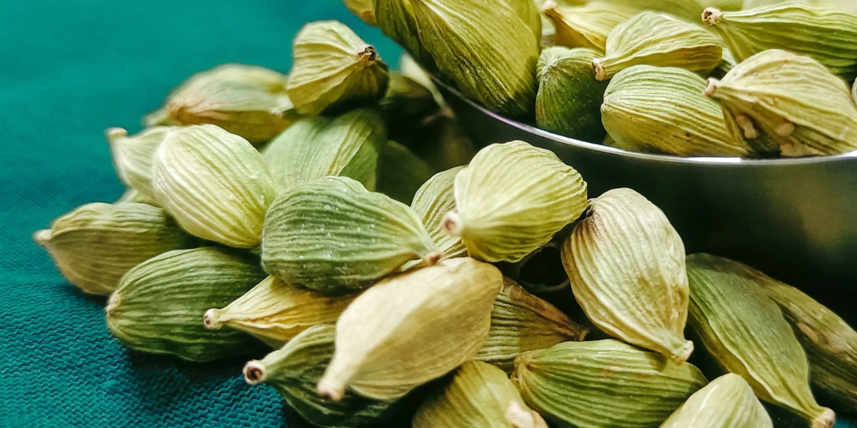 Cardamomo é considerado um superalimento, com muito benefícios para saúde (Imagem Reprodução Internet)