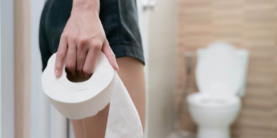 Substituto do papel higiênico existe (Imagem Reprodução Internet)