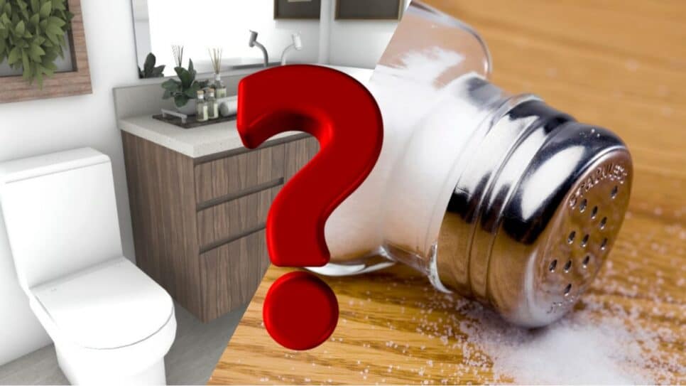 Por que as pessoas estão usando sal de cozinha no banheiro? (Fotos: Reprodução/ Internet/ Montagem)