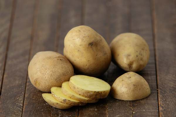 Batata está sendo um alimento considerado muito importante no combate ao câncer (Imagem: Reprodução)