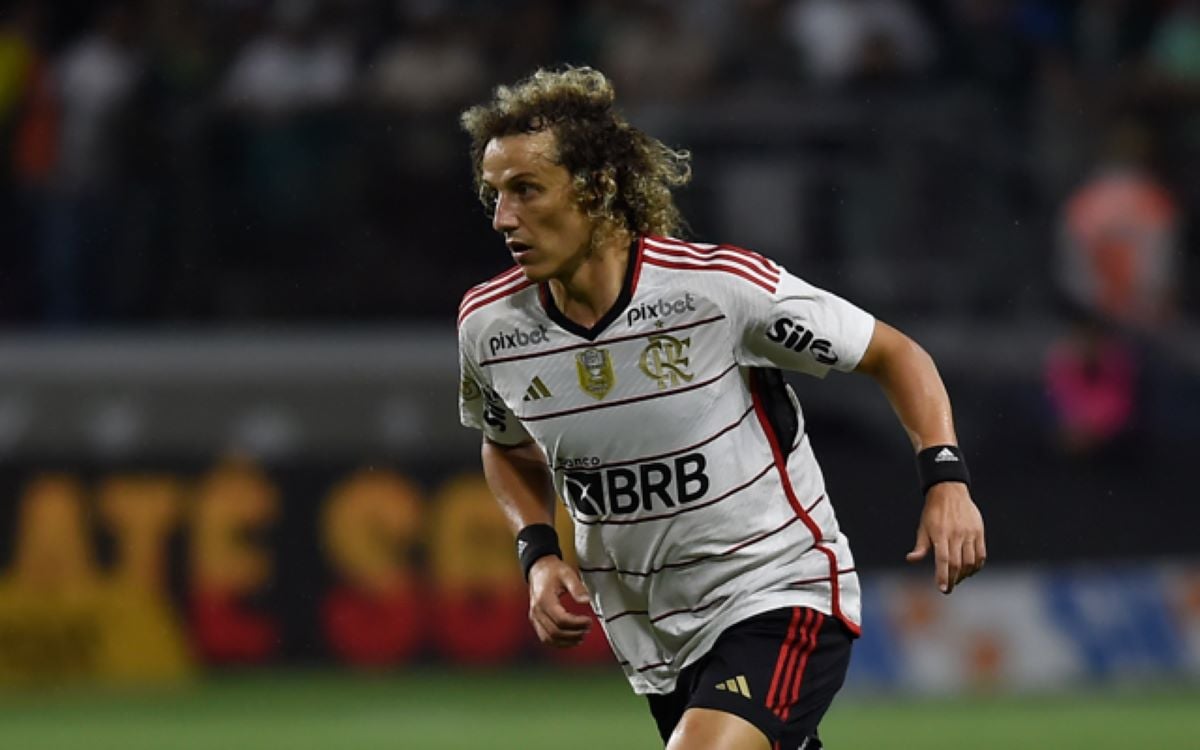 O jogador David Luiz atuando pelo Flamengo (Foto: Marcelo Cortes / Flamengo)