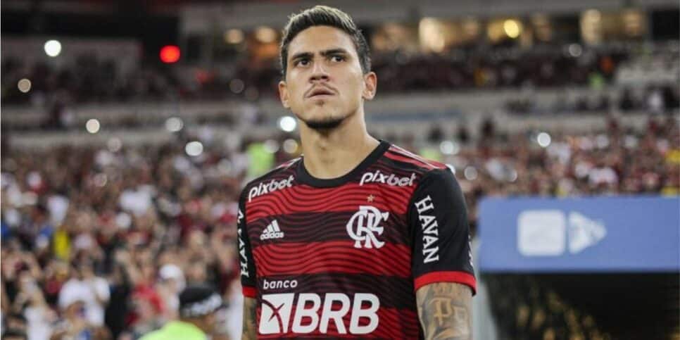 Pedro joga no Flamengo (Foto: Reprodução / Internet)