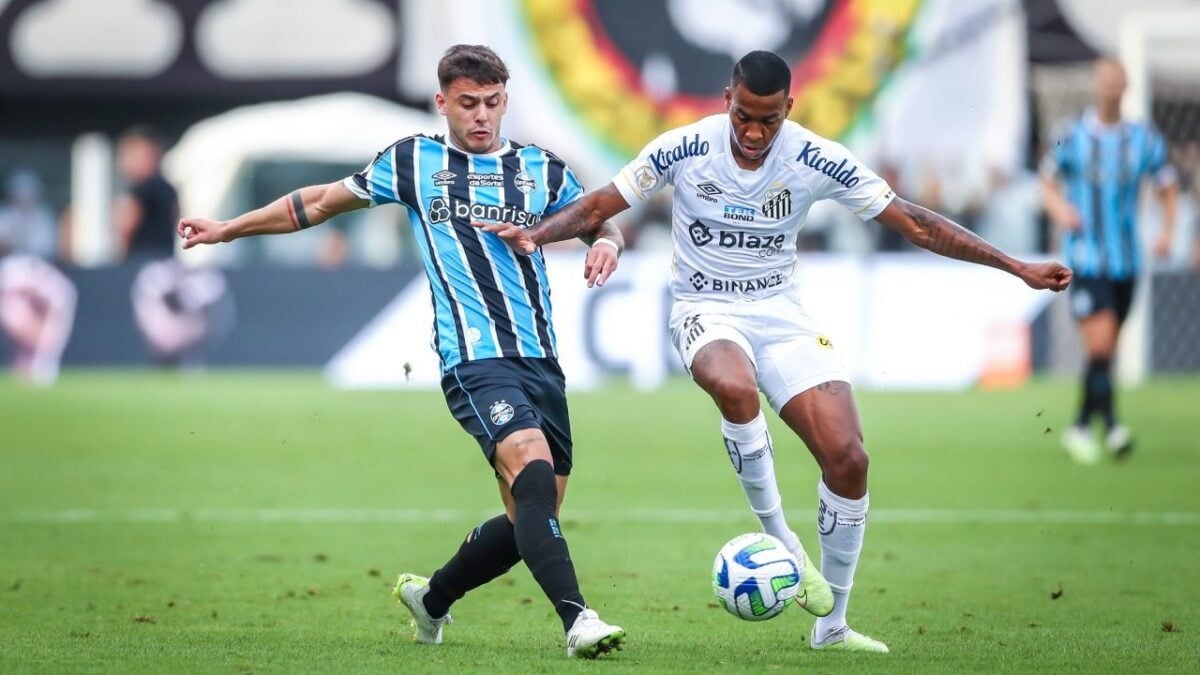 Grêmio é derrotado pelo Santos em partida que anima torcida (Foto: Reprodução/ Lucas Uebel/ Grêmio)