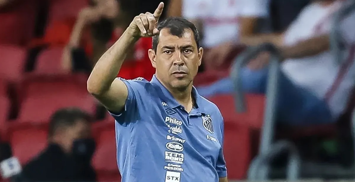 Carille é conhecido ex-técnico do Santos e recebe oferta para voltar ao comando (Foto: Reprodução/ Pedro H/ AGIF)