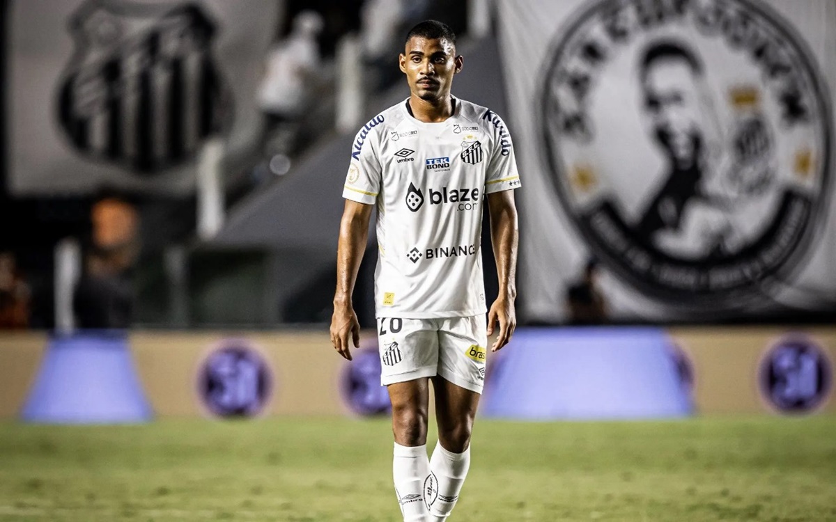 O zagueiro do Santos vem sendo observado pelo Botafogo (Foto: Reprodução/ Raul Baretta/ Santos FC/ Internet)