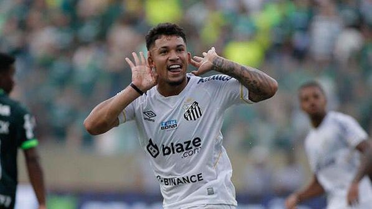 Marcos Leonardo fez o segundo gol ao Santos e definiu a vitória da partida contra o Palmeiras (Foto: Reprodução/ GE)