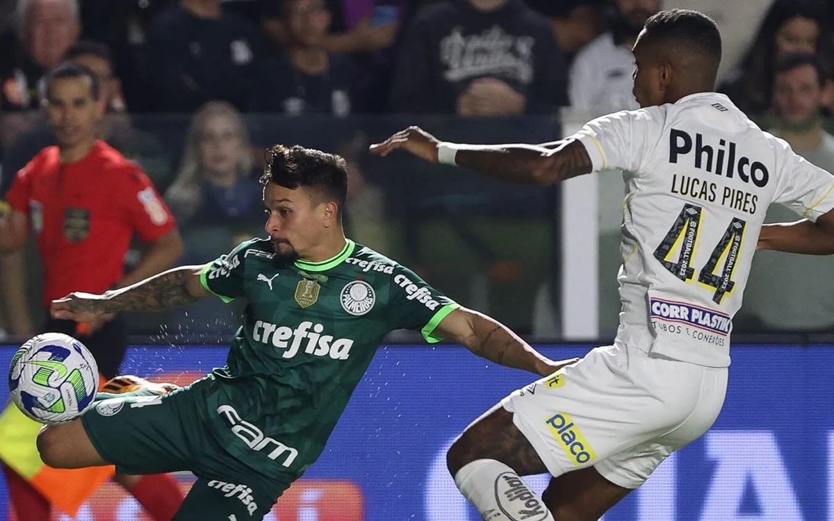 Palmeiras e Santos duelam na Arena Barueri (Foto: Reprodução/ Cesar Greco/ SE Palmeiras)