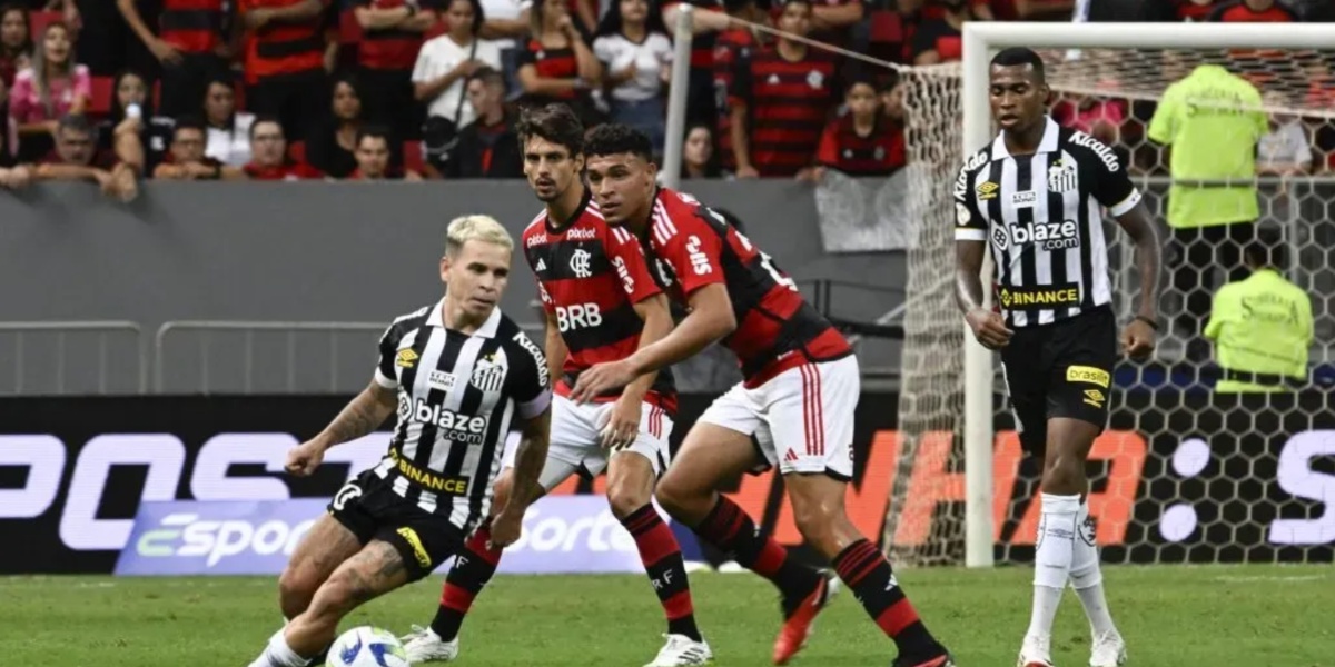 Jogo entre Santos e Flamengo (Imagem Reprodução Internet)
