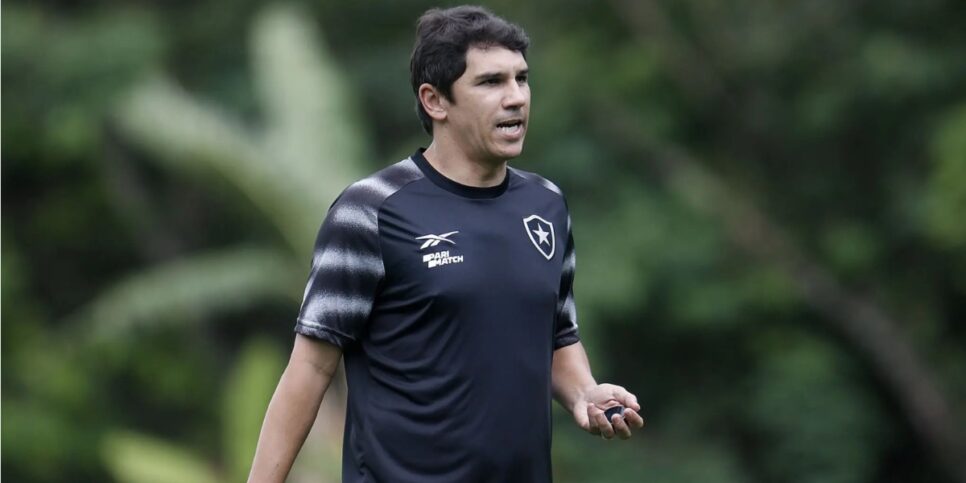 Lúcio Flavio, técnico do Botafogo (Imagem Reprodução Internet)