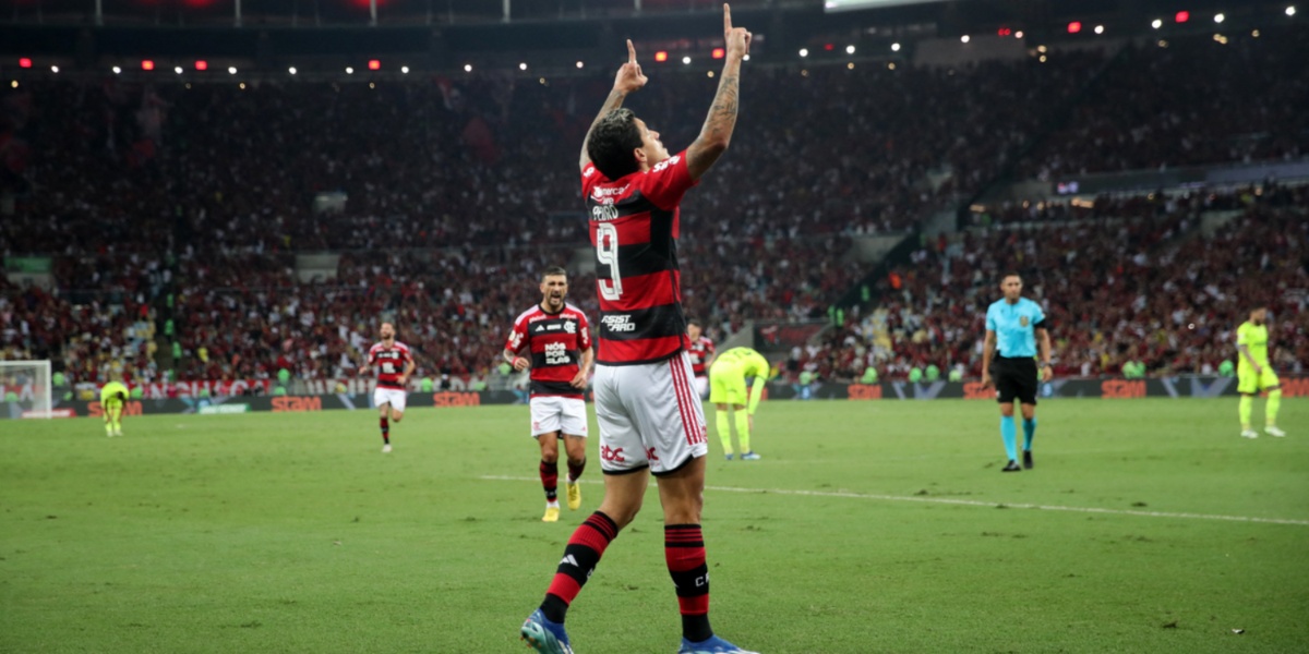 jogo entre Flamengo e Palmeiras (Imagem Reprodução Internet)