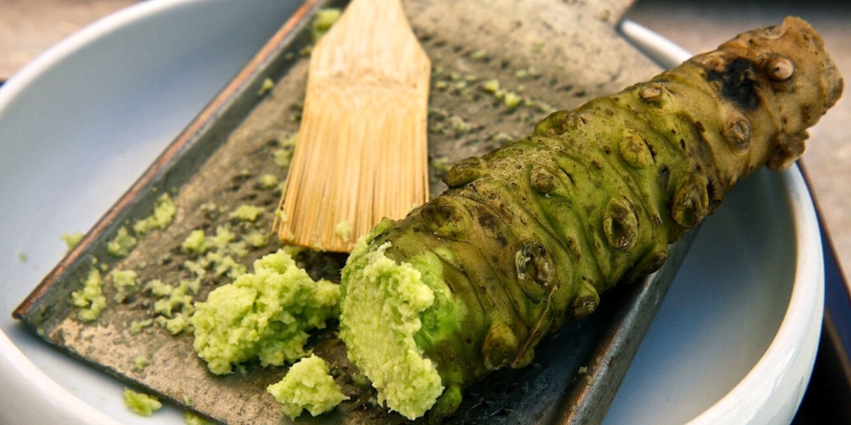 Pesquisadores japoneses descobrem que consumir wasabi ajuda a melhorar a memória (Imagem Reprodução Internet)