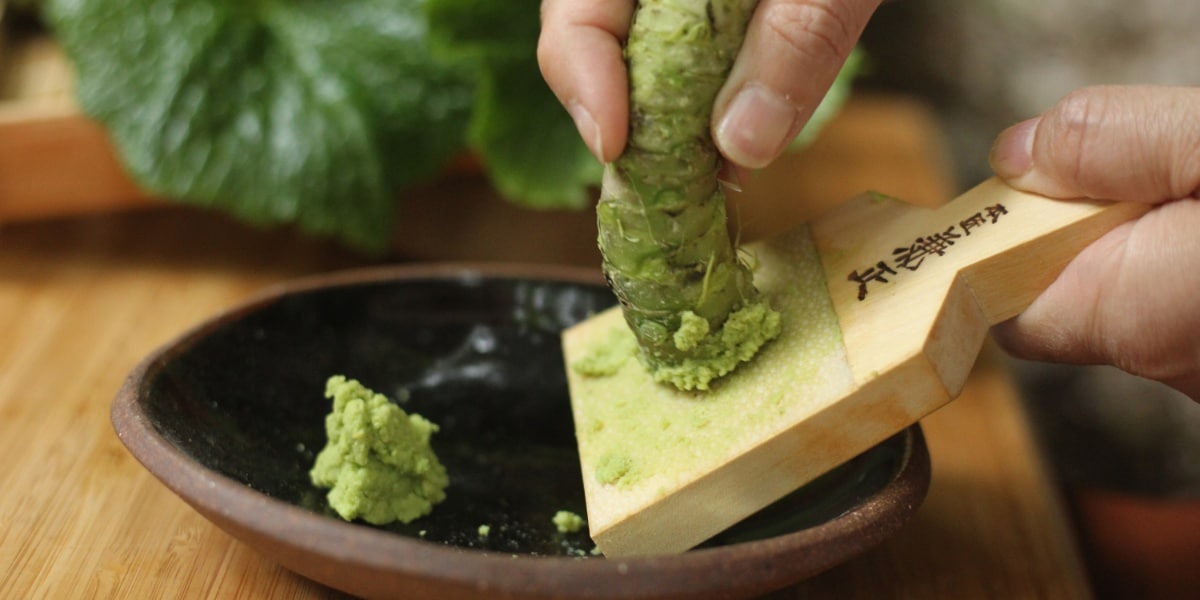 Pesquisadores japoneses descobrem que consumir wasabi ajuda a melhorar a memória (Imagem Reprodução Internet)