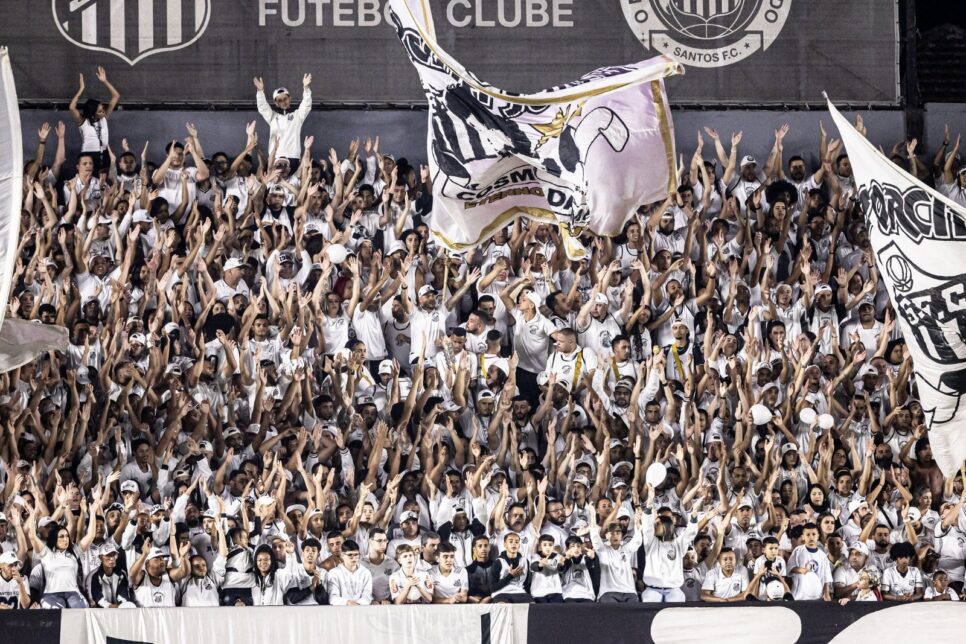 Torcida do Santos (Foto: Reprodução)