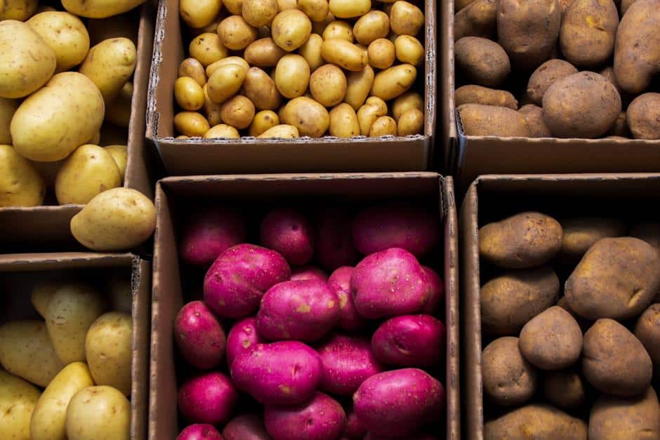 Pare de conservar as batatas de maneira errada (Imagem: Reprodução)