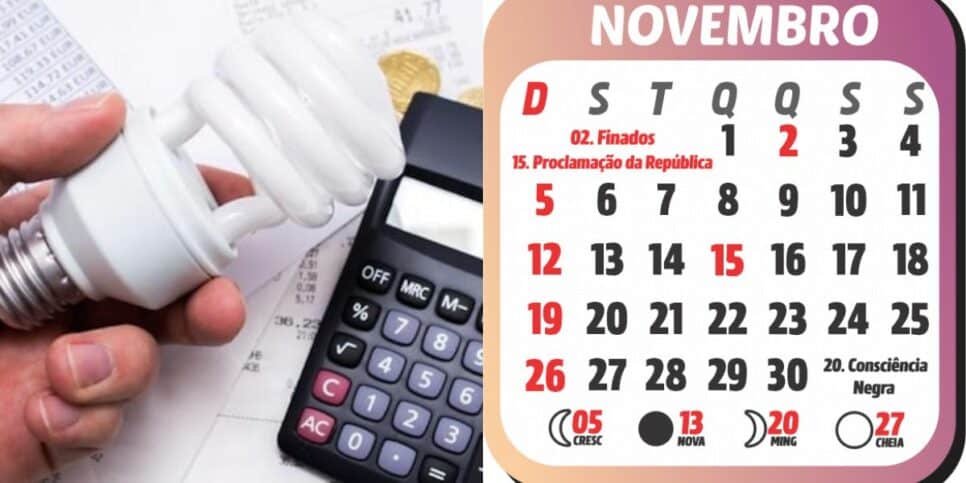 Conta de luz e calendário de Novembro (Foto: Reprodução / Internet)