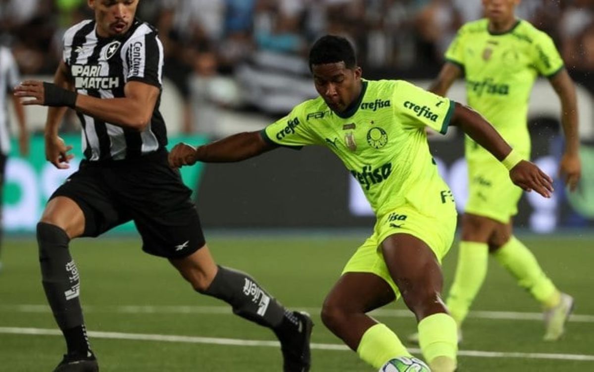 Jogador jovem do Verdão se destaca e vira héroi de clube de futebol (Foto: Cesar Greco/Palmeiras)