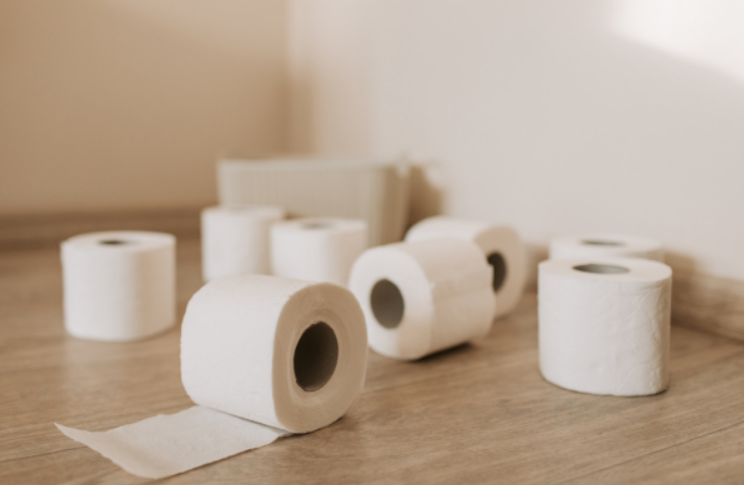 Você não vai esquecer! Não existe papel higiênico liso; confira os motivos disso (Foto: Reprodução/Internet)