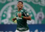 Rony do Palmeiras (Foto: Conmebol)