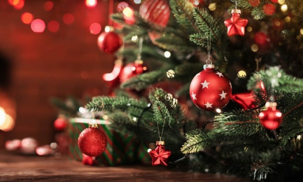 Vale Natal será pago a milhares de servidores (Imagem: Reprodução)