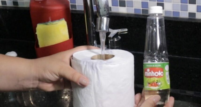 Papel higiênico e vinagre é uma combinação perfeita (Imagem: Reprodução)