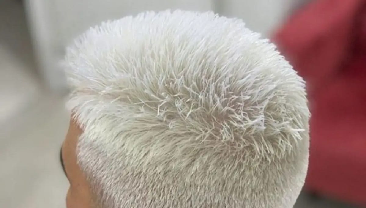 Cabelo branco é moda entre homens (Foto: Reprodução)