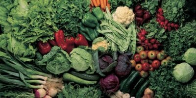 Especialistas revelam melhor verdura do mundo (Imagem Reprodução Canva)