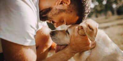 Descubra qual é a raça de cachorro que mais combina com o seu signo (Imagem Reprodução Internet)