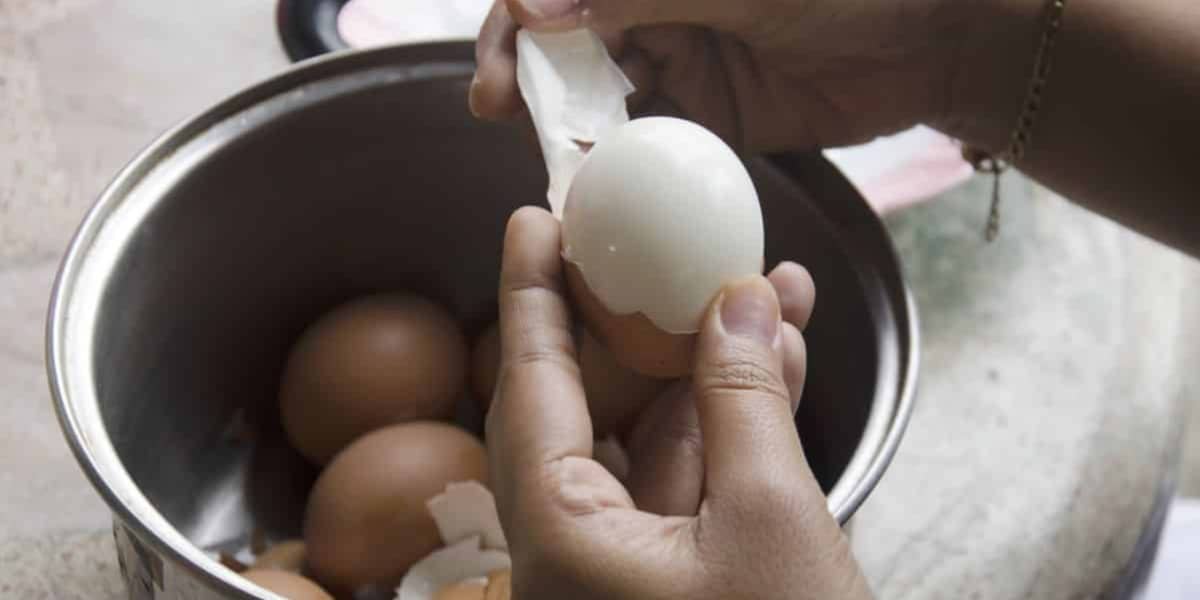 Confira por que as pessoas estão colocando limão na água para cozinhar ovo (Imagem Reprodução Internet)