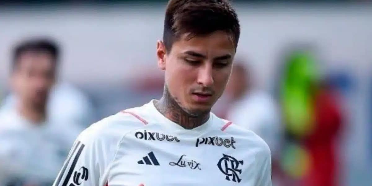 Erick Pulgar, jogador do Flamengo (Imagem Reprodução Internet)