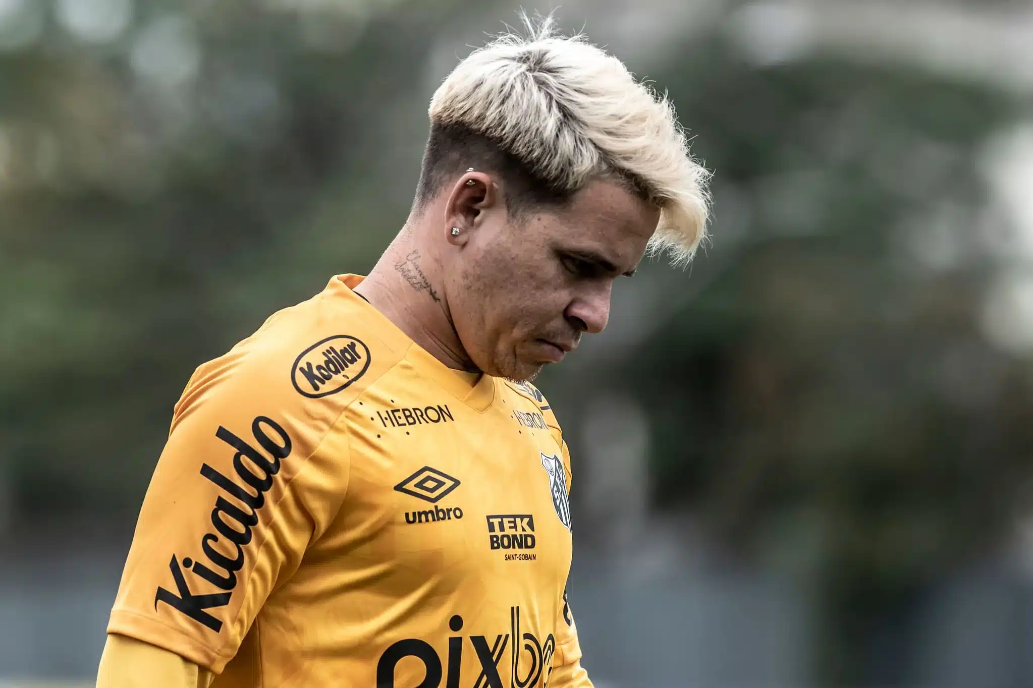 Soteldo (Reprodução/Internet)