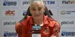 Técnico do Flamengo, Tite (Foto: Reprodução/Flamengo)