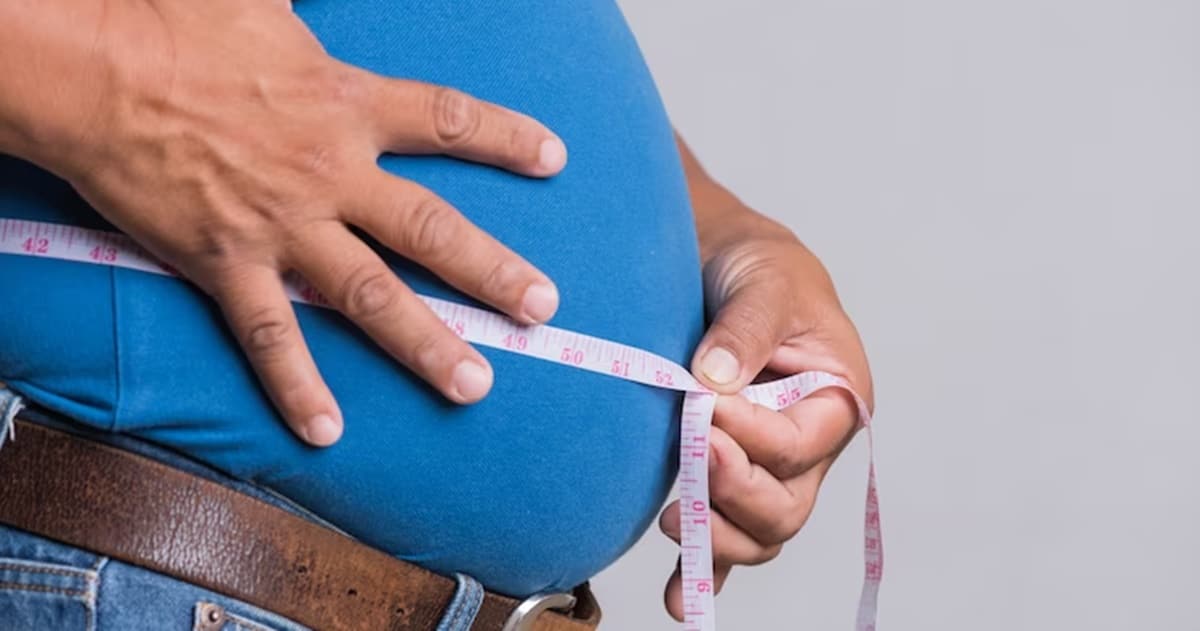 Hora de diminuir a cintura e acabar com a barriga eliminado estes alimentos da dieta (Foto: Reprodução/ FreePik)