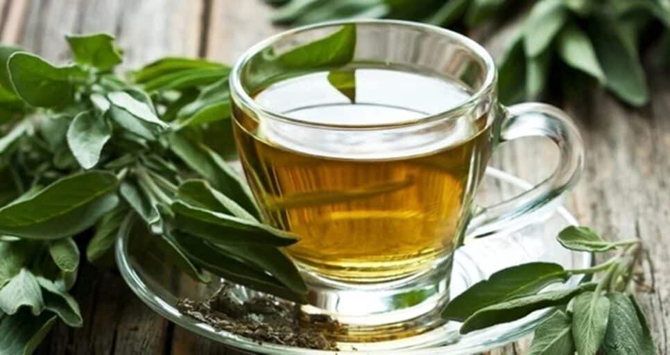 Chá verde gordura no fígado Xícara de Chá Verde (Fotos: Reprodução/ FreePik)