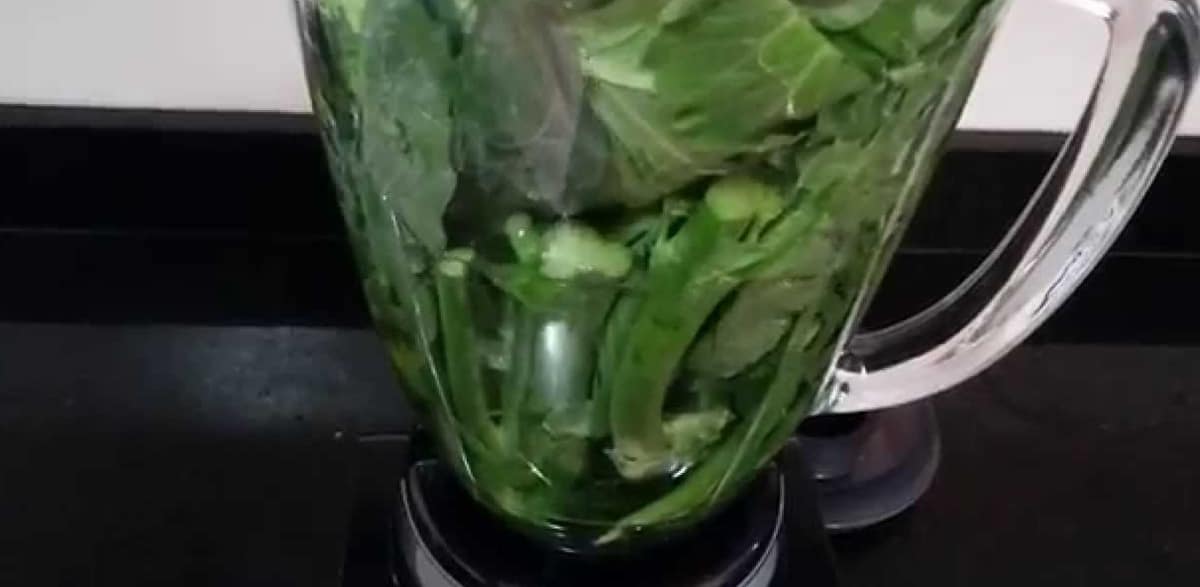 Liquidificador com folhas verdes para preparar o suco verde (Foto: Reprodução/ YouTube)