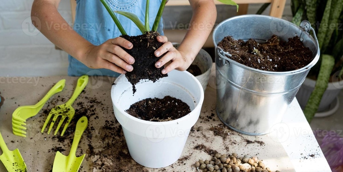 Jardinagem é uma terapia, mas você precisa saber como cuidar de suas plantinhas (Foto: Reprodução/ Internet) Jornal