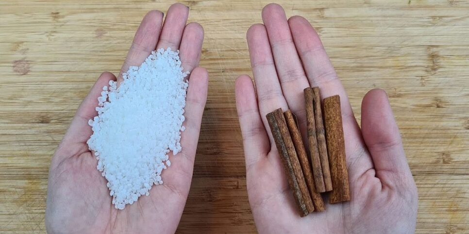 Canela com sal (Foto: Reprodução/ Youtube)