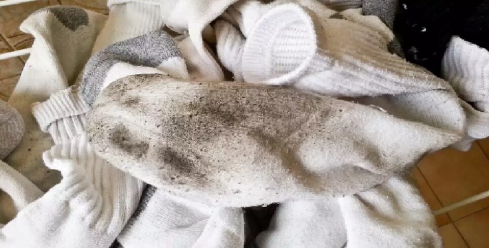 Aprenda a desencardir meias brancas com esse truque doméstico sem produtos químicos (Foto: Reprodução/ Internet)