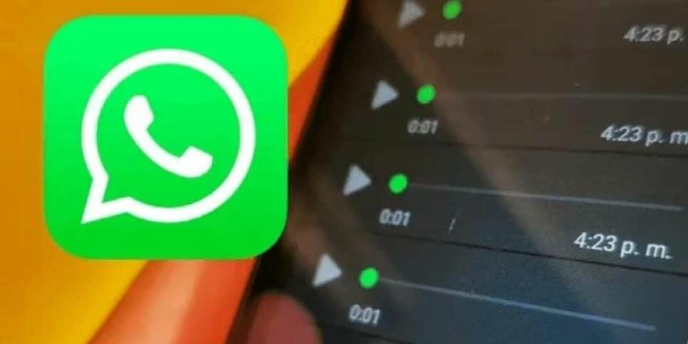 Mensagem de voz pelo WhatsApp (Foto: Reprodução / Internet)