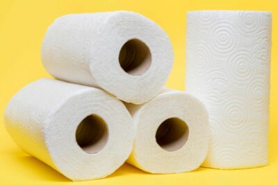 Papel toalha (Foto: Reprodução/Internet)